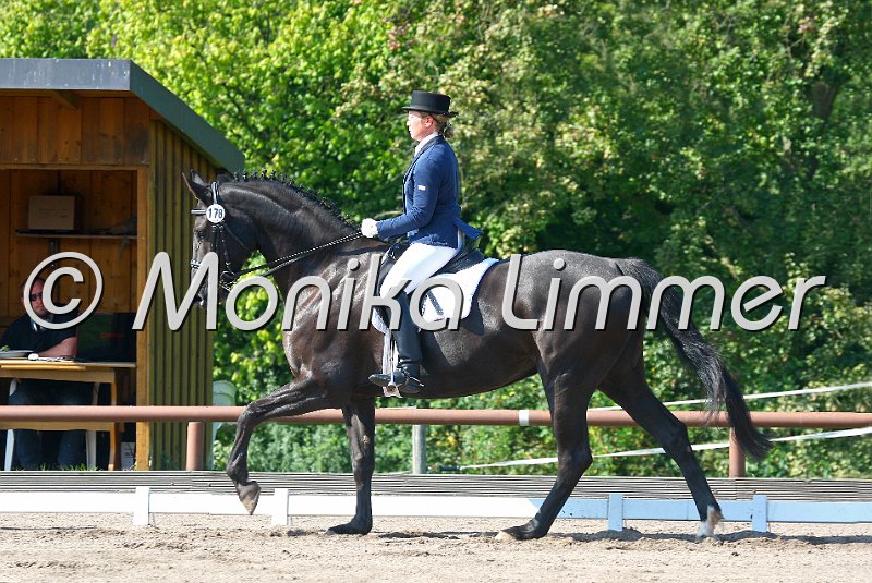 009M0141_Tiffany_Dressur L_e_neu.jpg